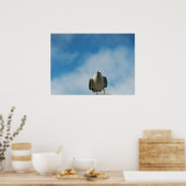 Haring Gull Print (Keuken)