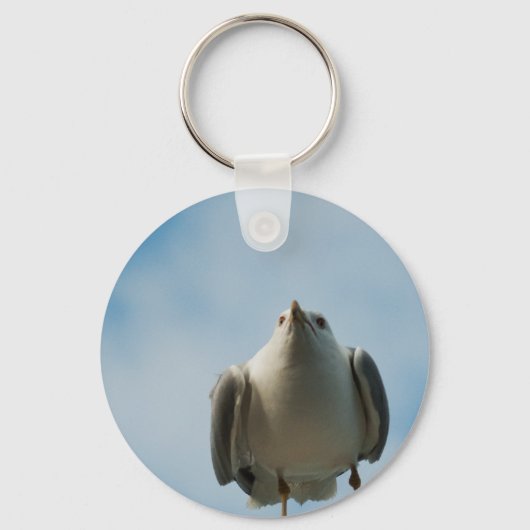 Haring Gull Sleutelhanger (Voorkant)