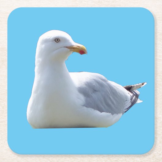 Haring Gull Sunbathing Onderzetter (Voorkant)