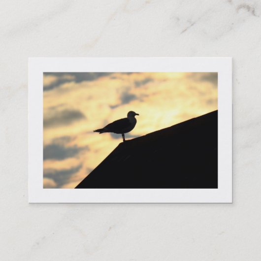 Haring Gull Sunset (Bordant) Visitekaartje (Voorkant)