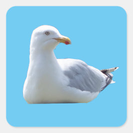 Haring Gull zonnebaden Vierkante Sticker
