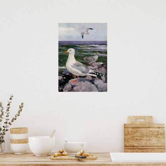 Haring Gulls op Rocky Shoreline Poster (Keuken)