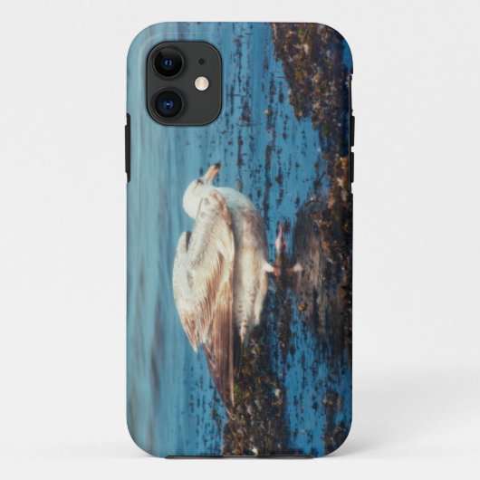 Haring meeuw P1046 Case-Mate iPhone Case (Achterkant)