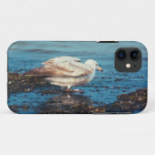 Haring meeuw P1046 Case-Mate iPhone Case (Achterkant (horizontaal))