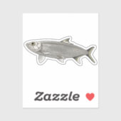 Haring vector illustratie sticker (Vel)