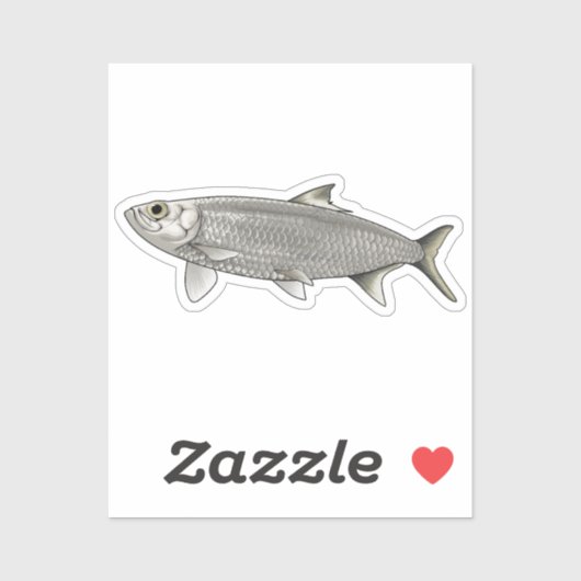 Haring vector illustratie sticker (Vel)