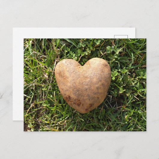 Haringgestapte aardappel briefkaart (Voorkant / Achterkant)