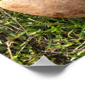 Haringgestapte aardappel poster (Hoek)