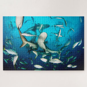 Haringhaai, 20 x 30 inch legpuzzel