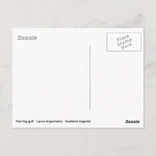 Haringmeeuw met grote reflectie over water briefkaart (Achterkant)