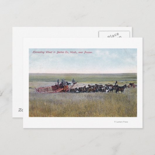 Haringschenkel Briefkaart (Voorkant / Achterkant)