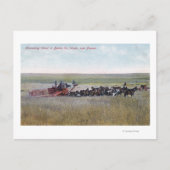 Haringschenkel Briefkaart (Voorkant)