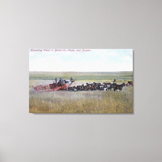 Haringschenkel Canvas Afdruk (Voorkant)