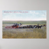 Haringschenkel Poster (Voorkant)