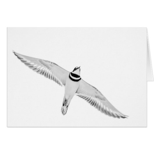 Haringslak (Voorkant Horizontaal)