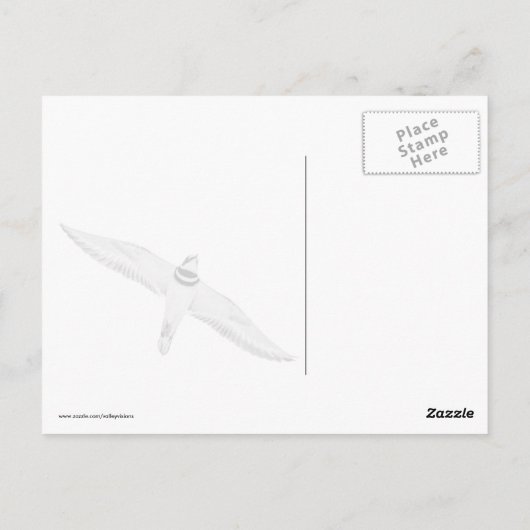 Haringslak Briefkaart (Achterkant)