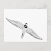 Haringslak Briefkaart (Voorkant)