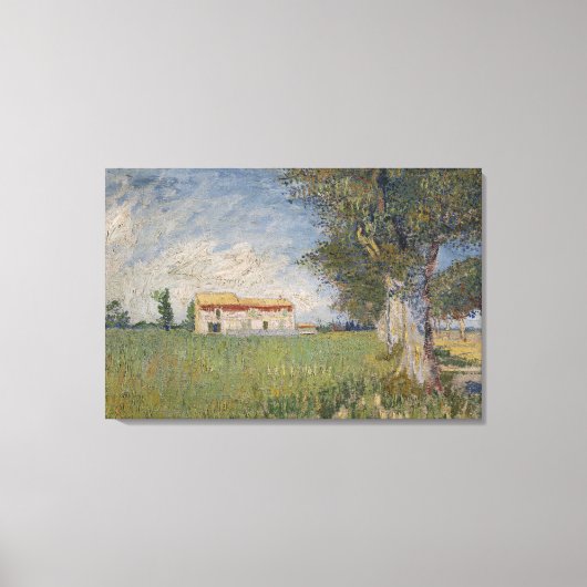 Haringstal op een tarweveld Canvas Afdruk (Voorkant)