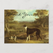 Haringwindhond en Spanjaard; Doctor Fop Briefkaart (Voorkant)