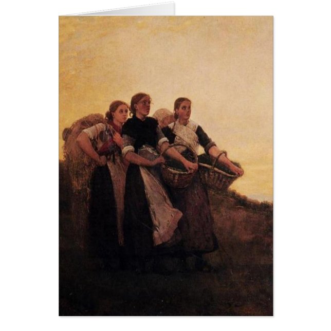 Hark. De Lark. (Voorkant)