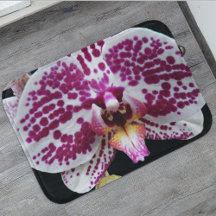 Harlekijn Phalaenopsis Orchidee Bloem