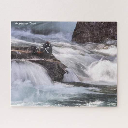 Harlekijneend Legpuzzel (Horizontaal)