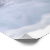 Harlekijneend Poster (Hoek)