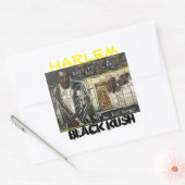 HARLEM BLACK KUSH VIERKANTE STICKER (Envelop)