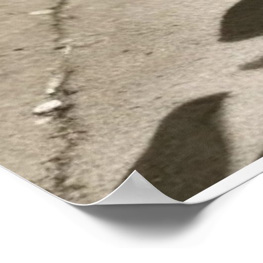 Harlem Renaissance Sophisticated Ladies  Poster (Hoek)