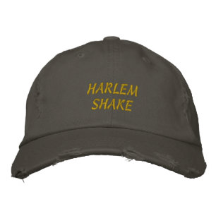 Harlem Shake Pet