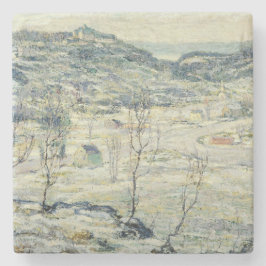Harlem Valley in Winter (New York Scene) Stenen Onderzetter