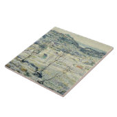 Harlem Valley in Winter (New York Scene) Tegeltje (Zijkant)