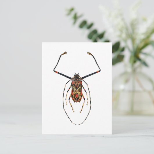 Harlequin Beetle Briefkaart (Staand voorkant)
