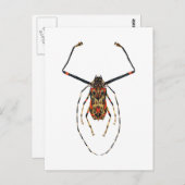 Harlequin Beetle Briefkaart (Voorkant / Achterkant)