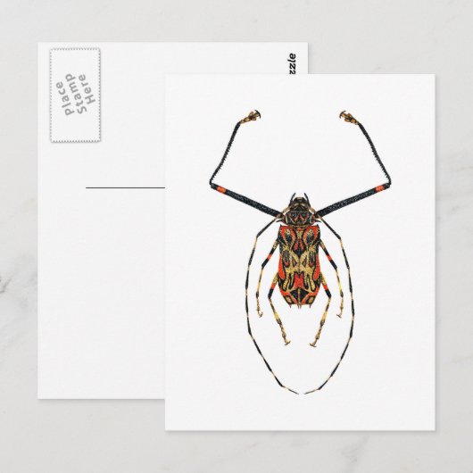 Harlequin Beetle Briefkaart (Voorkant / Achterkant)