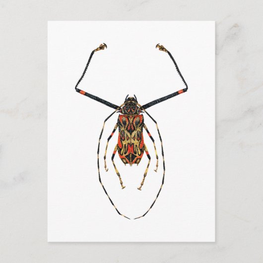 Harlequin Beetle Briefkaart (Voorkant)