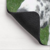 Harlequin Dane Muismat (Hoek)