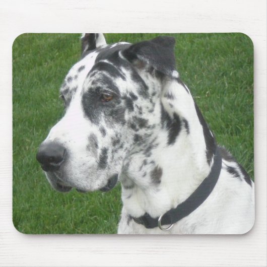 Harlequin Dane Muismat (Voorkant)