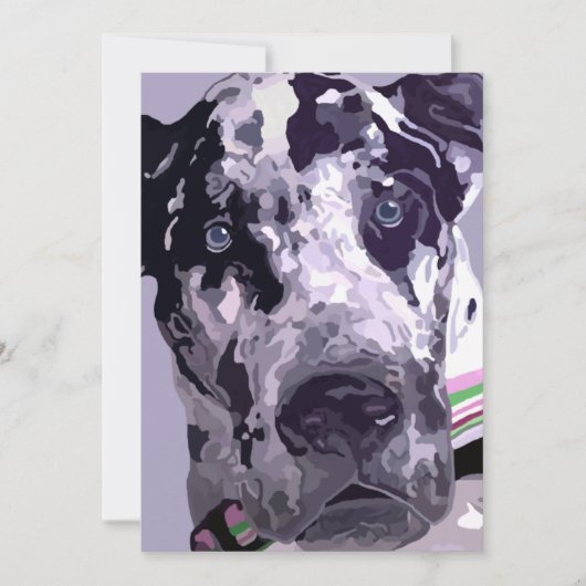 Harlequin Dog Argentaans - geweldige prijs! (Voorkant)