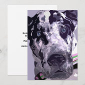 Harlequin Dog Argentaans - geweldige prijs! (Voorkant / Achterkant)