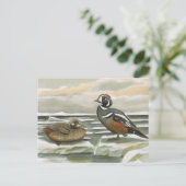 Harlequin Duck Briefkaart (Staand voorkant)