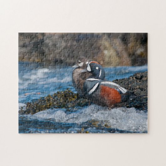 Harlequin Duck in oceaansurf Legpuzzel (Horizontaal)