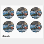 Harlequin Duck in oceaansurf Ronde Sticker (Vel)