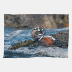 Harlequin Duck in oceaansurf Theedoek