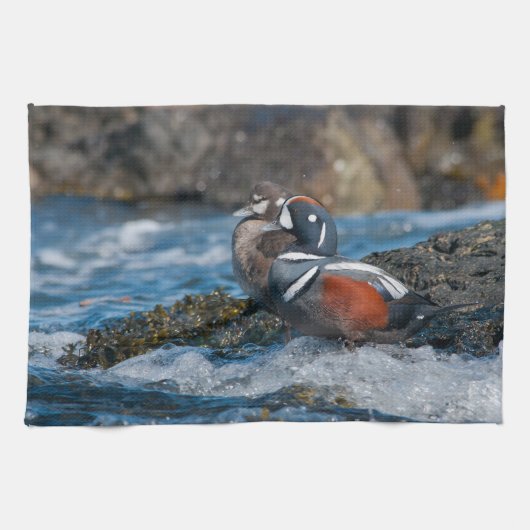 Harlequin Duck in oceaansurf Theedoek (Horizontaal)