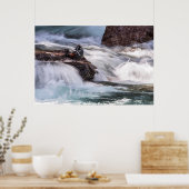 Harlequin Duck Poster (Keuken)