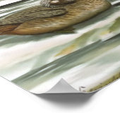 Harlequin Duck Poster (Hoek)