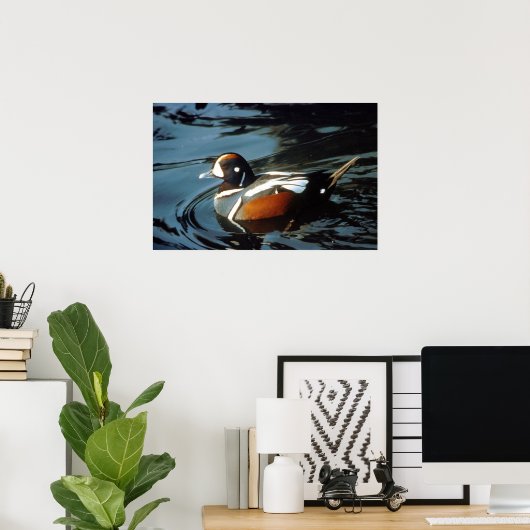 Harlequin Duck Poster (Thuiskantoor)