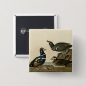 Harlequin Duck Vierkante Button 5,1 Cm (Voorkant /achterkant)
