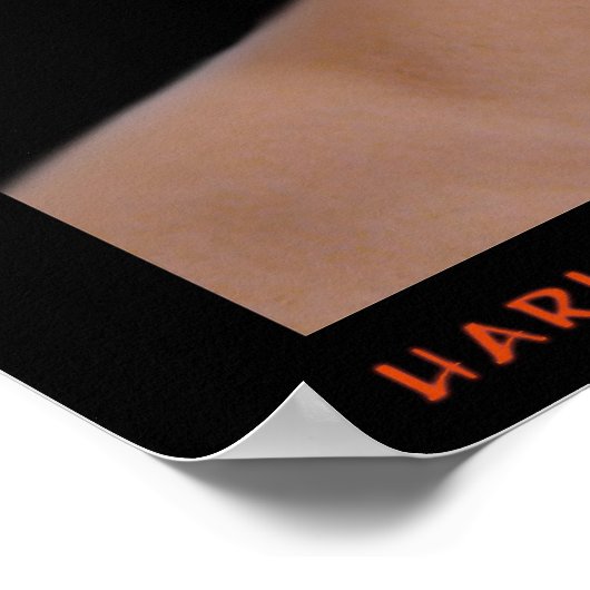 Harlequin Element Poster (Hoek)